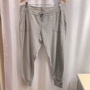 Patagonia jogger sweatpants